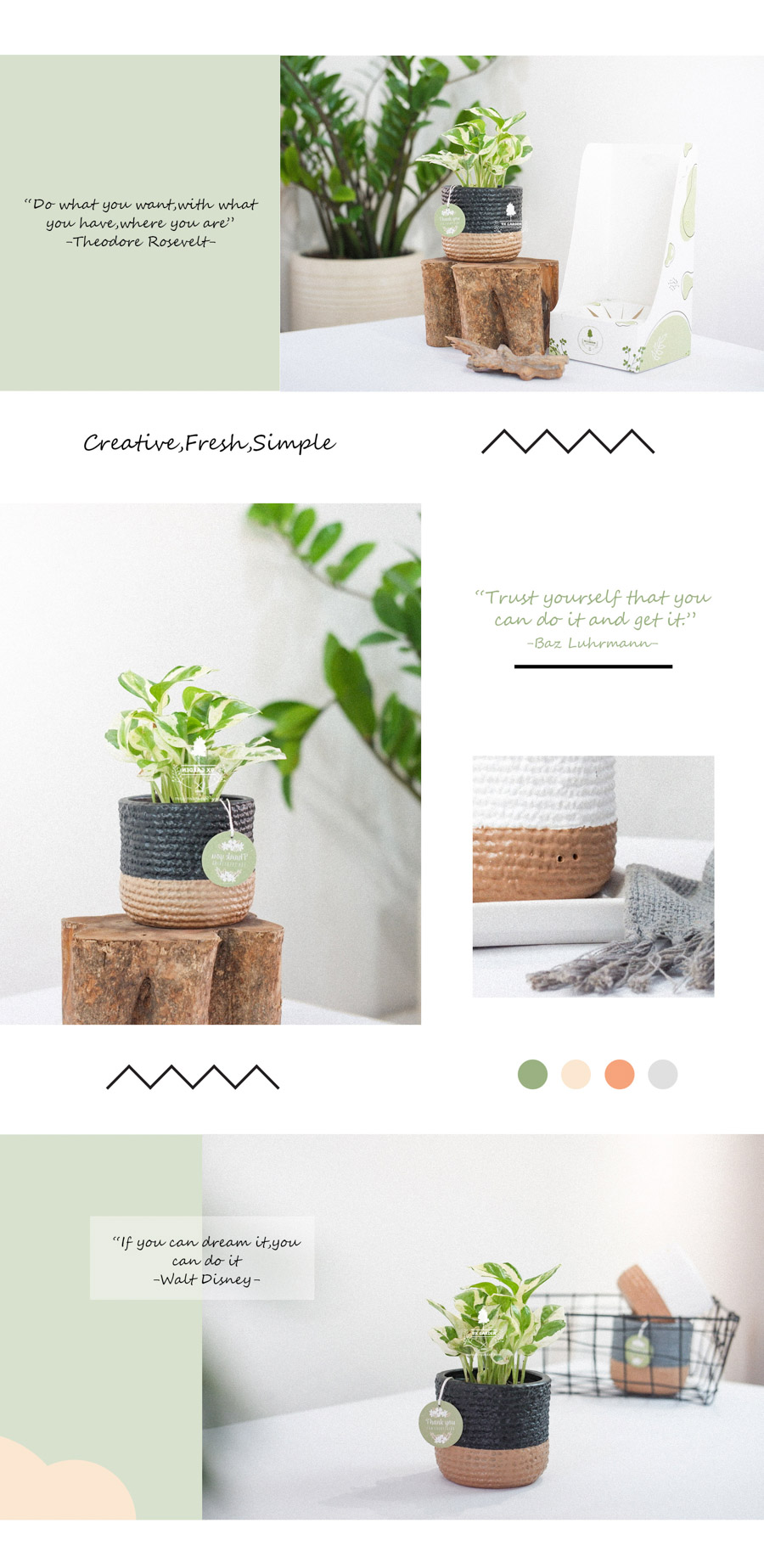 Trầu Bà Cẩm Thạch x Teori - Cây Cảnh Để Bàn - 9X GARDEN