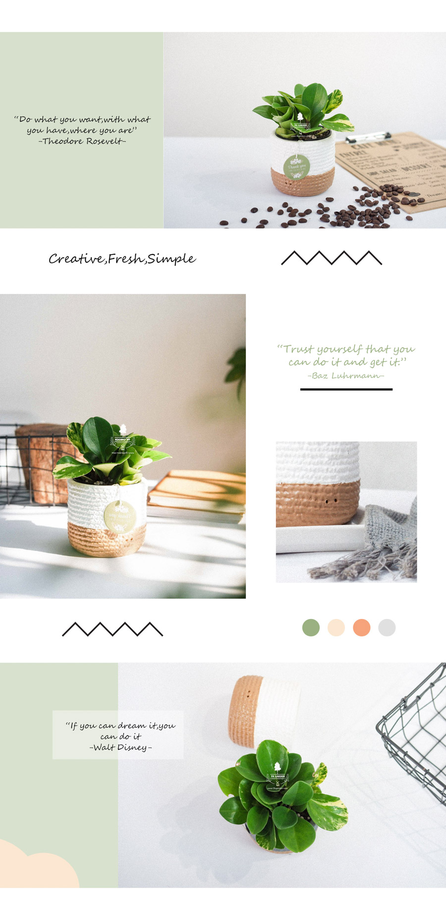 Trường Sinh x Teori - Cây Cảnh Để Bàn - 9X GARDEN