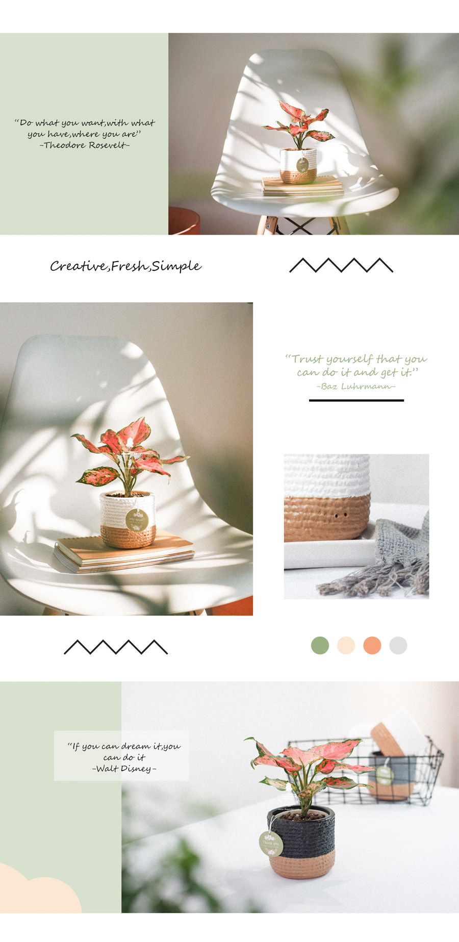 Vạn Lộc x Teori - Cây Cảnh Để Bàn - 9X GARDEN