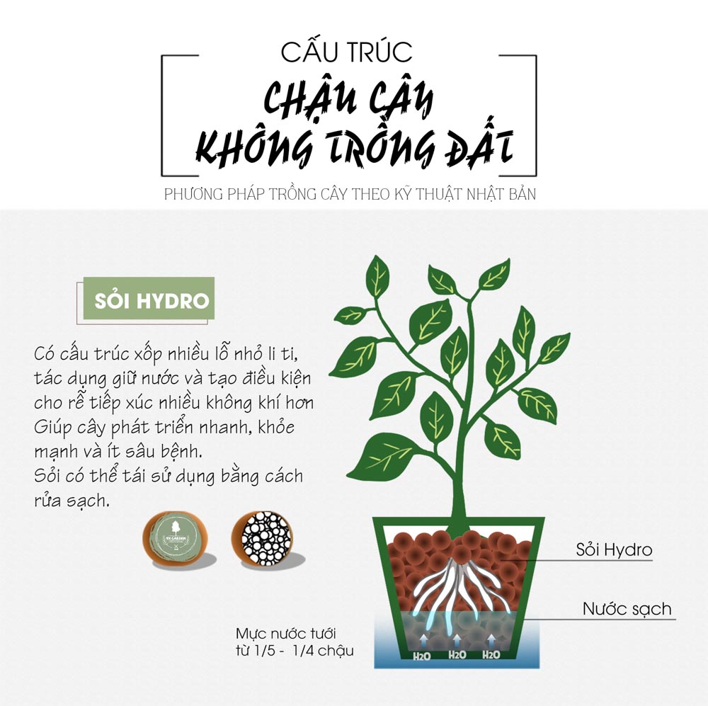 Cây Trồng Không Cần Đất - 9X GARDEN