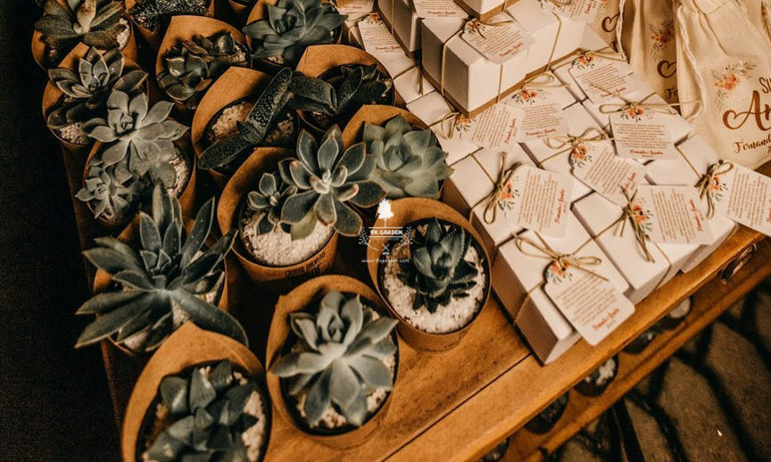 11 bí kíp của nghệ thuật tặng quà - 9X GARDEN