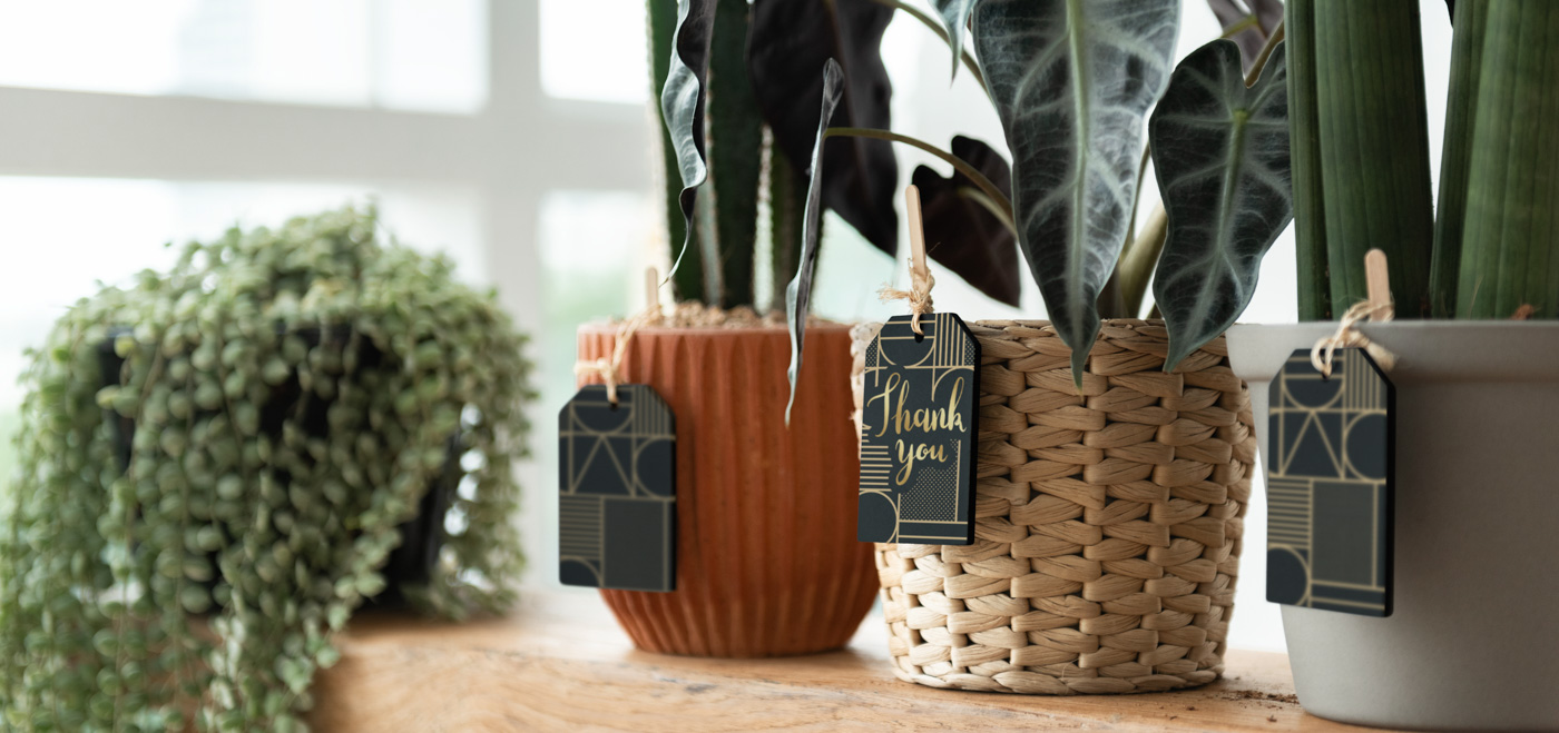 Gợi ý cách tặng quà độc đáo - 9X GARDEN