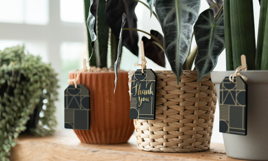 Gợi ý cách tặng quà độc đáo - 9X GARDEN