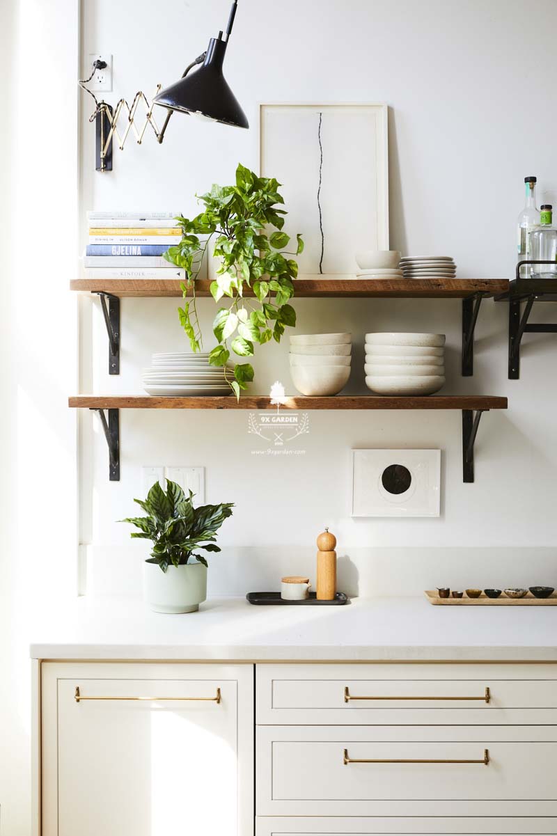 Trồng cây trong phòng bếp nên hay không? - 9X GARDEN