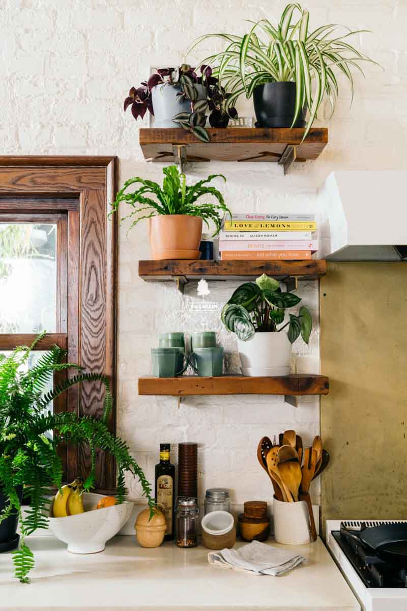 Trồng cây trong phòng bếp nên hay không? - 9X GARDEN