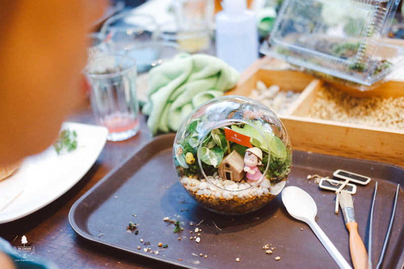 Terrarium workshop La Trobe - 9X GARDEN