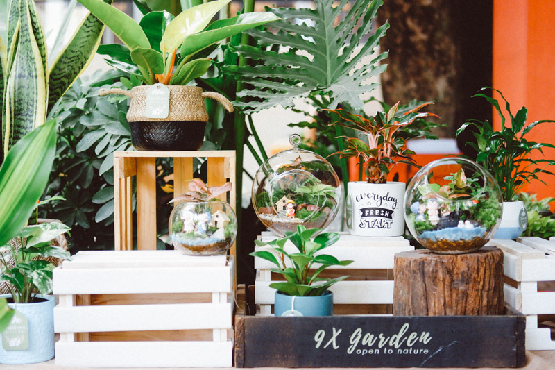 Terrarium workshop La Trobe - 9X GARDEN