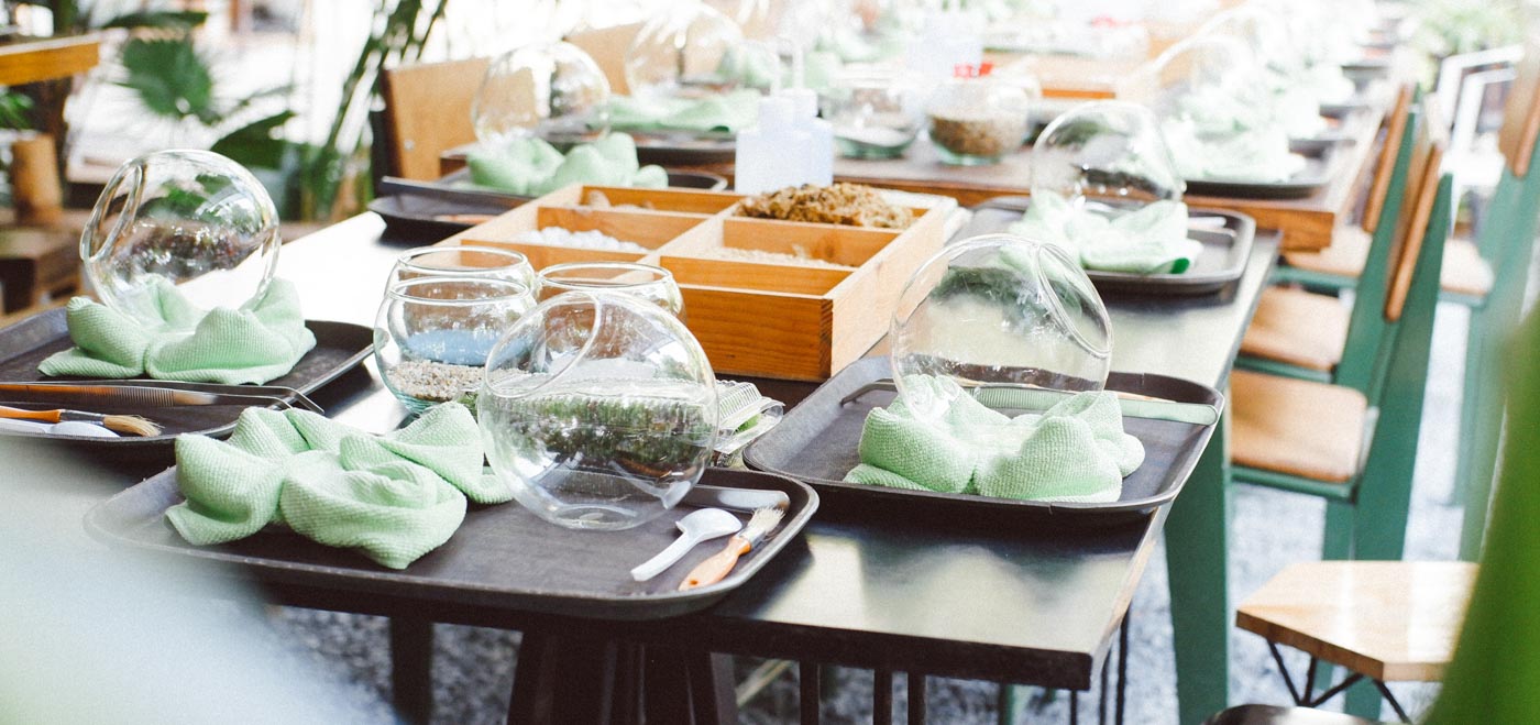 Terrarium workshop La Trobe - 9X GARDEN