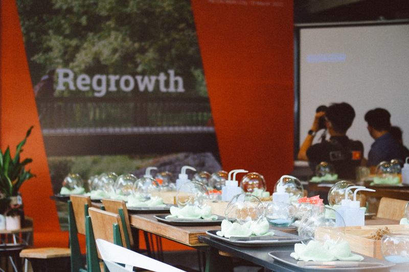 Terrarium workshop La Trobe - 9X GARDEN