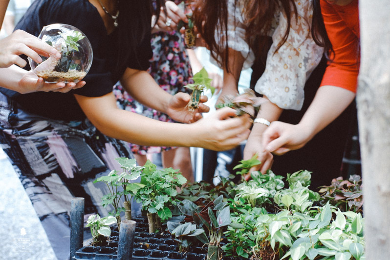 Terrarium workshop La Trobe - 9X GARDEN