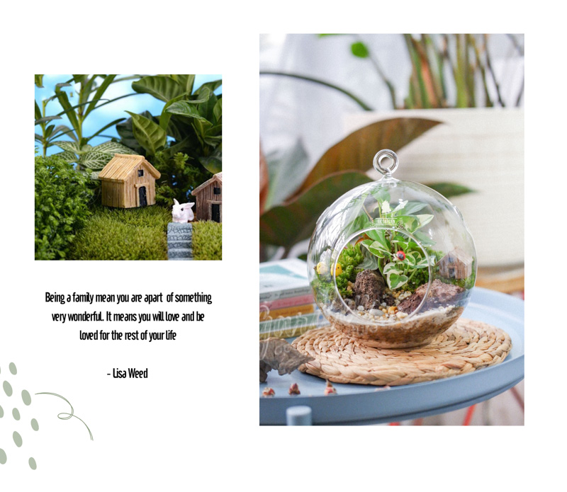 Tiểu Cảnh Để Bàn Terrarium - Family & Home - 9X GARDEN