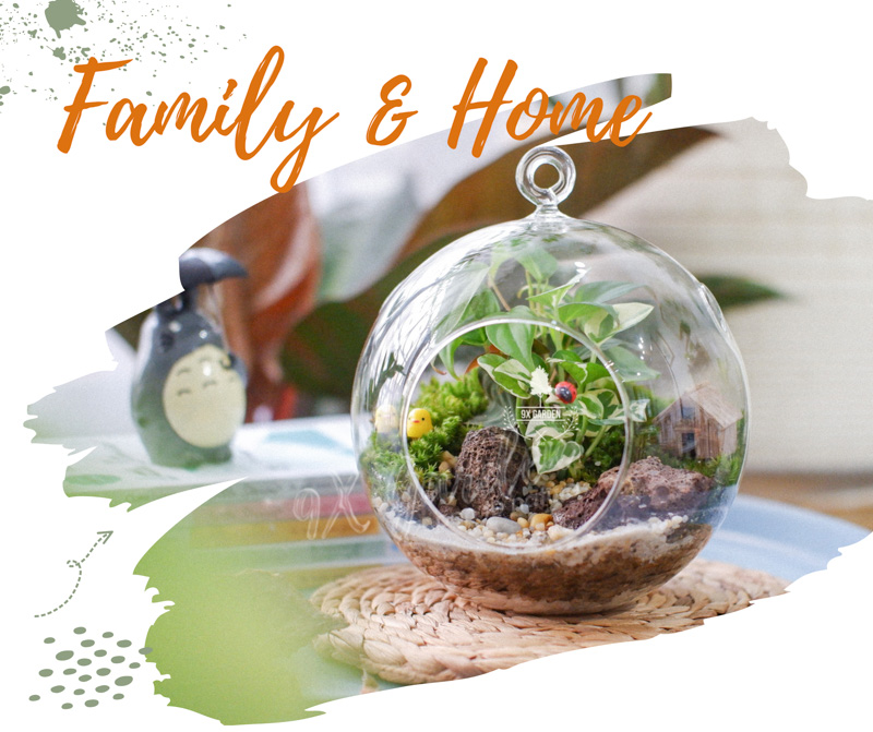 Tiểu Cảnh Để Bàn Terrarium - Family & Home - 9X GARDEN