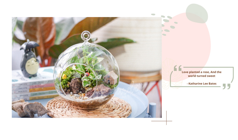 Tiểu Cảnh Để Bàn Terrarium - Family & Home - 9X GARDEN