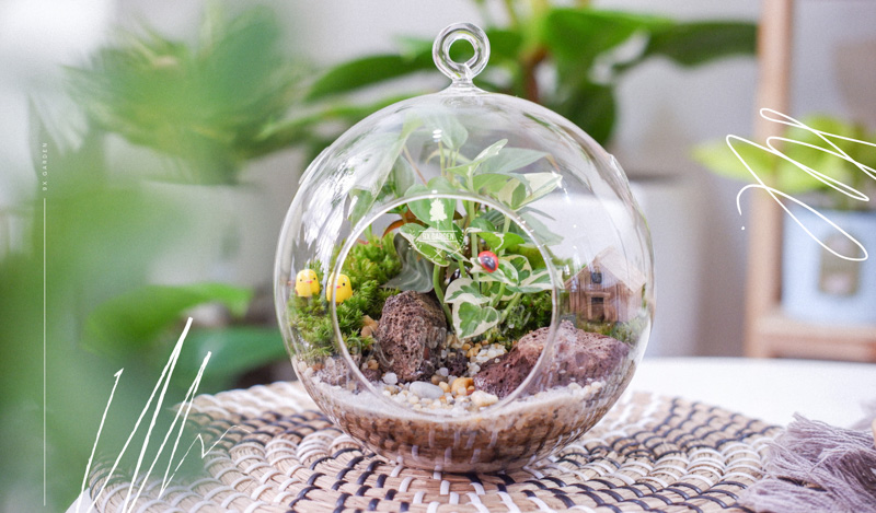 Tiểu Cảnh Để Bàn Terrarium - Family & Home - 9X GARDEN