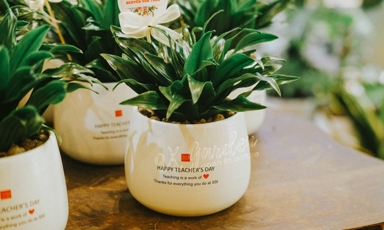 Món quà xanh tri ân Thầy Cô