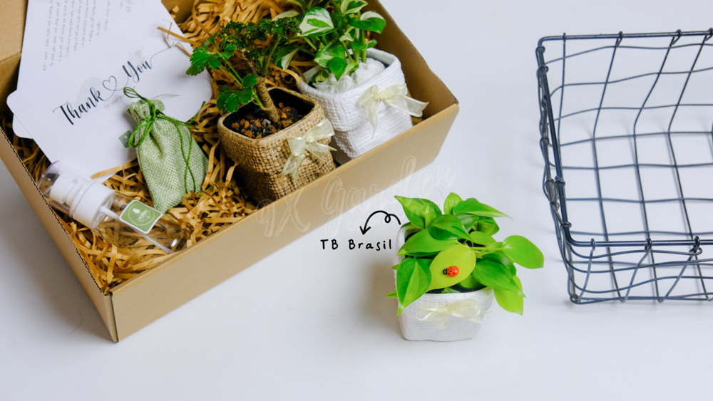 Gift Box - TOKI Suko