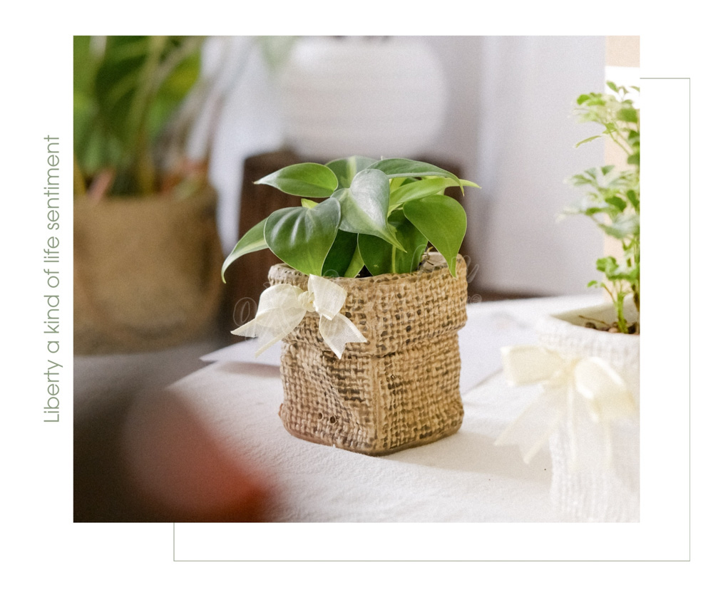 Gift Box - TOKI Suko