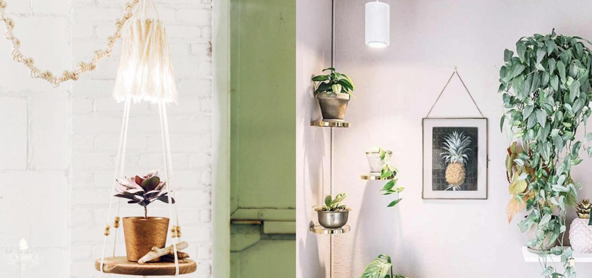 Dùng đèn nhân tạo cho cây trồng trong nhà - 9X Garden