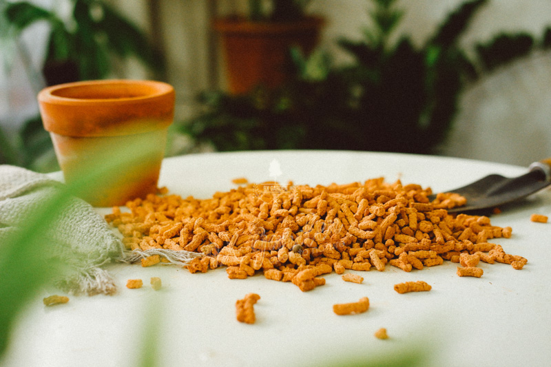 Giá thể và những điều bạn cần biết - 9X GARDEN