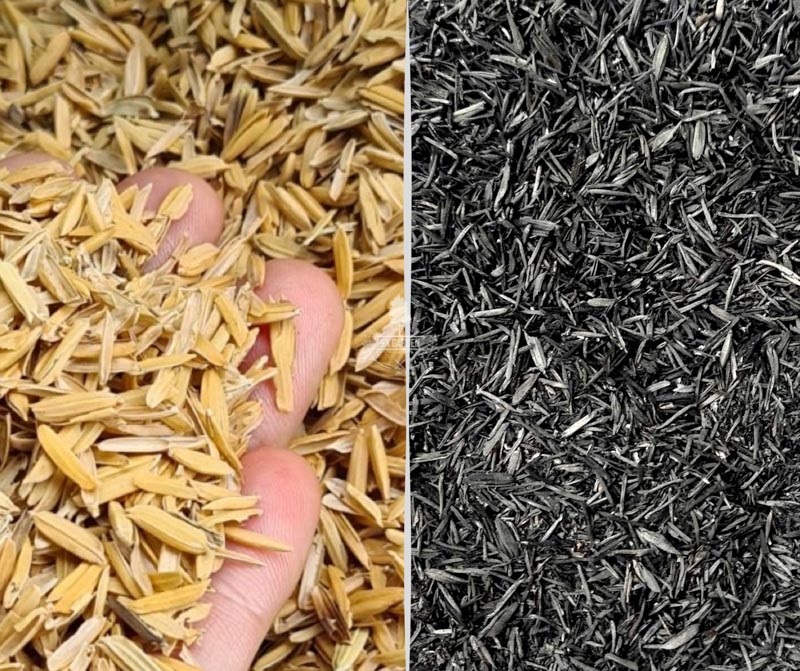 Giá thể và những điều bạn cần biết - 9X GARDEN