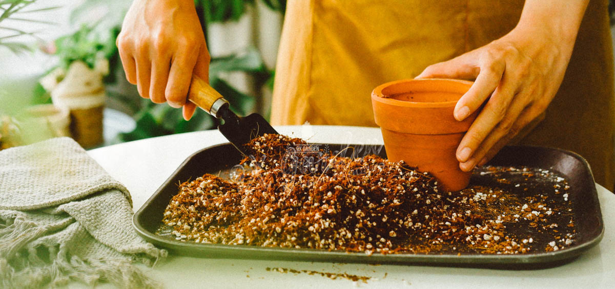 Giá thể và những điều bạn cần biết - 9X GARDEN