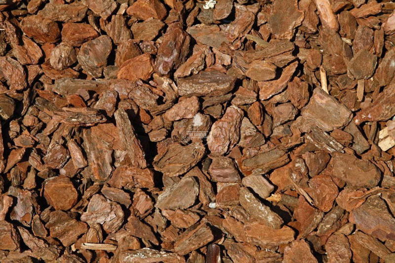 Giá thể và những điều bạn cần biết - 9X GARDEN