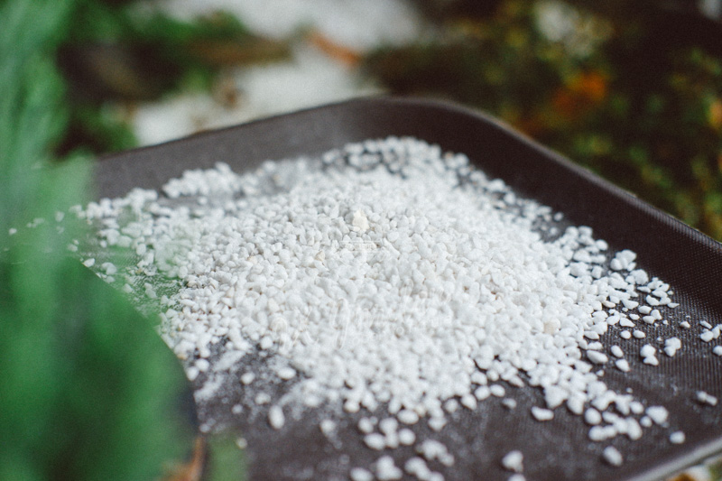 Giá thể và những điều bạn cần biết - 9X GARDEN