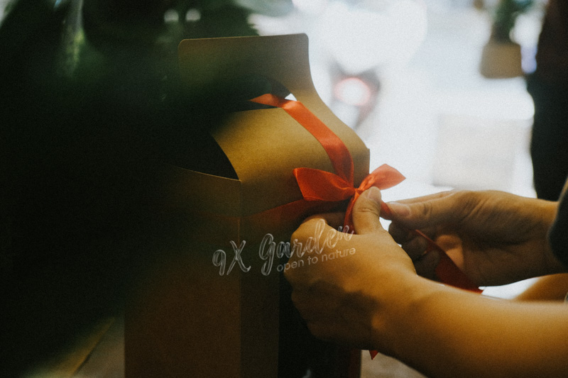 Món Quà Xanh Tri Ân Thầy Cô - 9X GARDEN