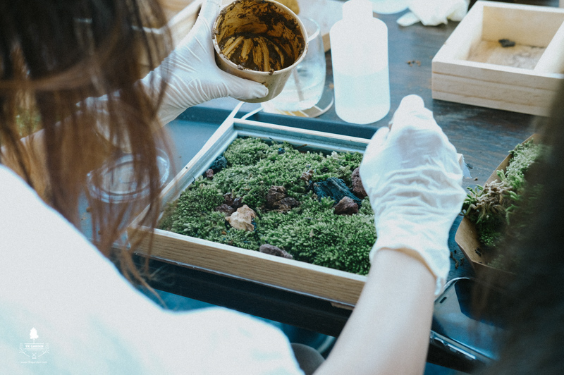Moss art workshop by 9X GARDEN