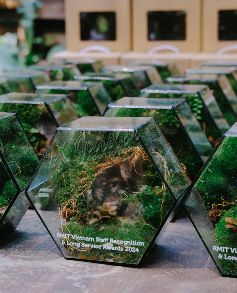 Quà tặng cây xanh -terrarium cho doanh nghiệp - 9X GARDEN