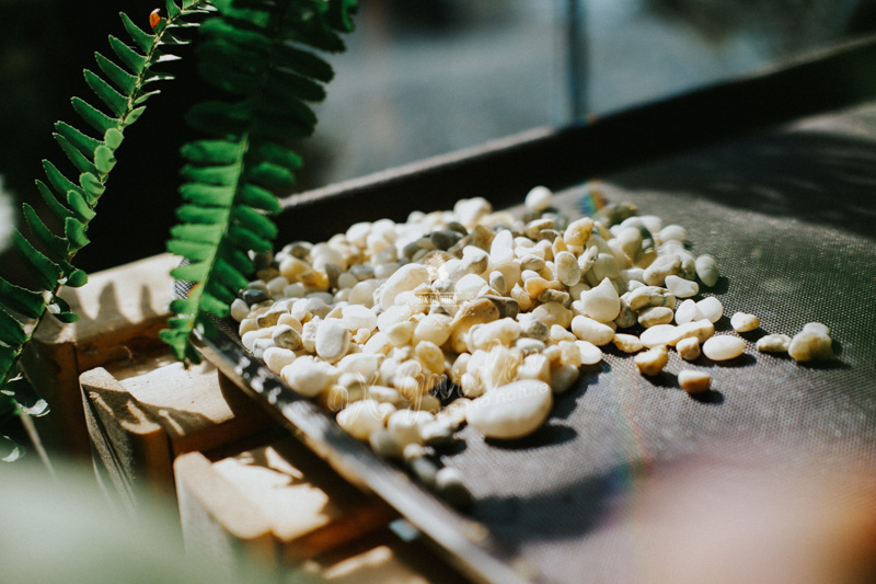 Terrarium - Bộ môn nghệ thuật đắt giá - 9X GARDEN