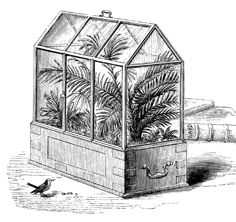 Terrarium - Bộ môn nghệ thuật đắt giá - 9X GARDEN