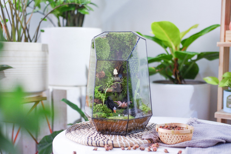 Terrarium - Bộ môn nghệ thuật đắt giá - 9X GARDEN