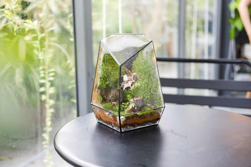 Terrarium - Bộ môn nghệ thuật đắt giá - 9X GARDEN