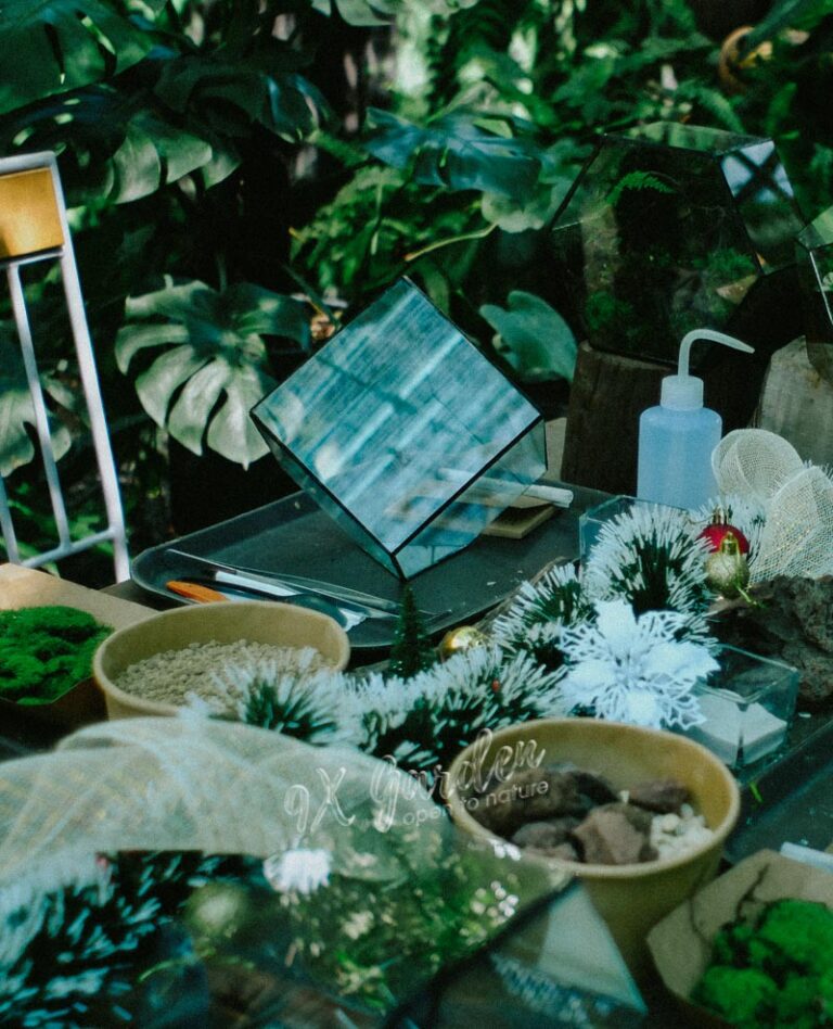 Terrarium Workshop - Workshop doanh nghiệp - 9X GARDEN