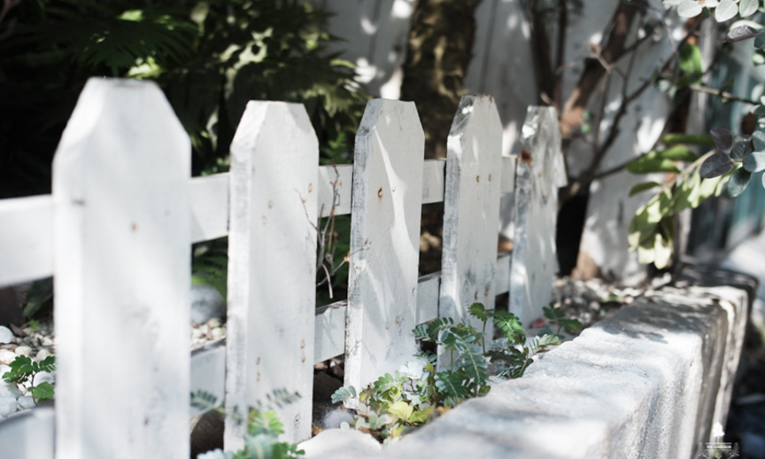 Top cửa hàng cây cảnh uy tín- 9X GARDEN