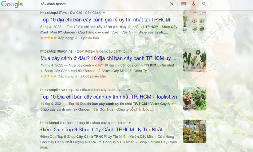 Top cửa hàng cây cảnh uy tín- 9X GARDEN