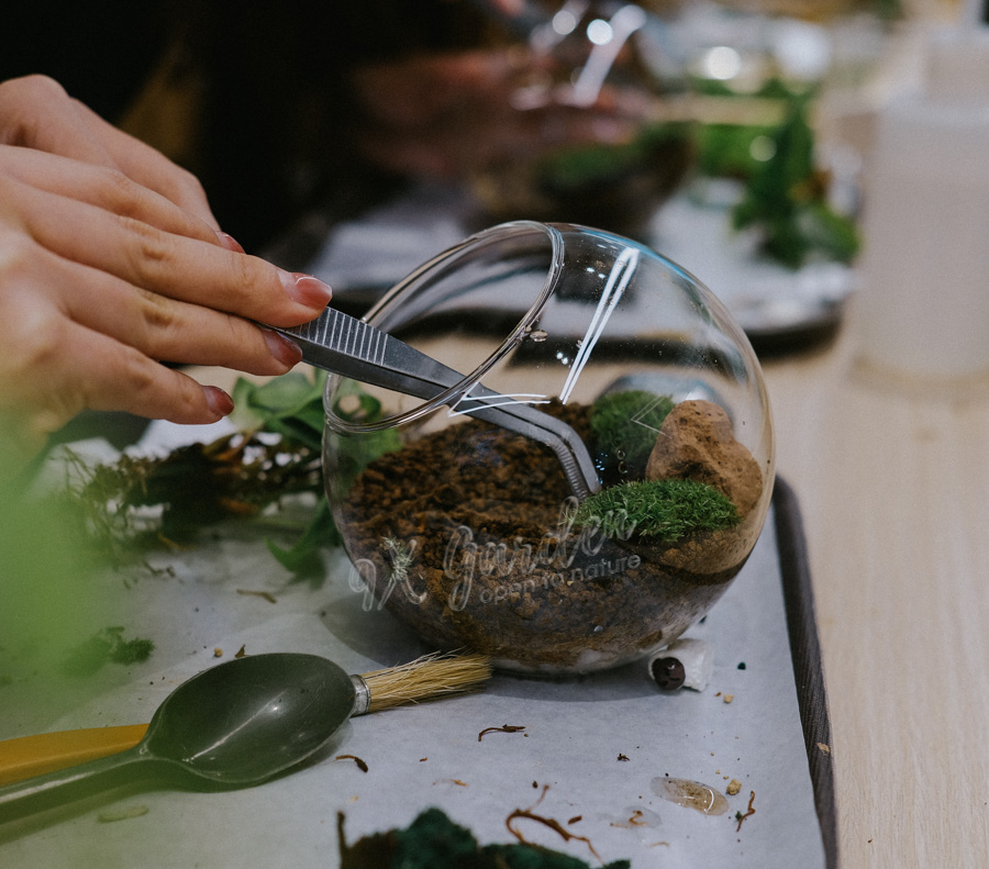 Workshop Trồng Cây - Terrarium Workshop - Workshop cho Doanh Nghiệp