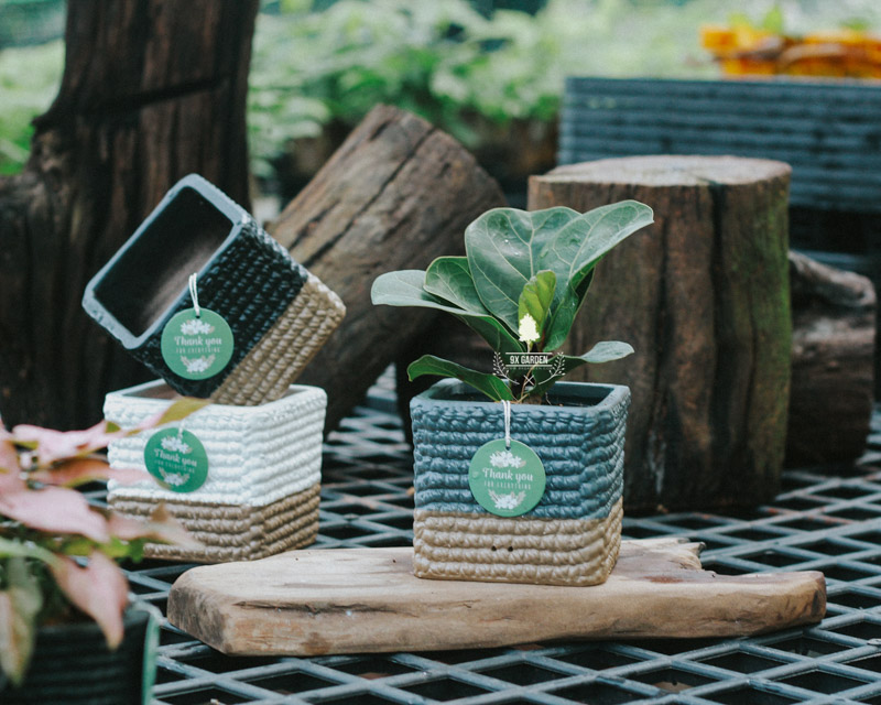 Cây Phong Thủy Hợp Mệnh Mộc | 9X GARDEN