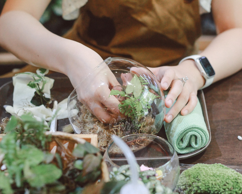 Terrarium Workshop - Workshop trồng cây trong bình thủy tinh - 9X GARDEN