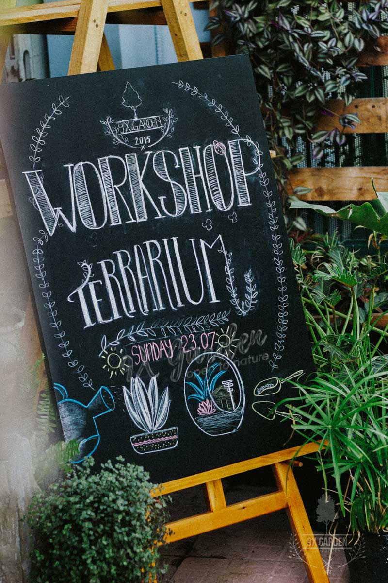 Terrarium Workshop