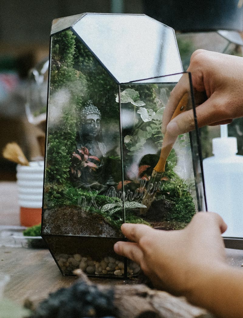 Terrarium Workshop