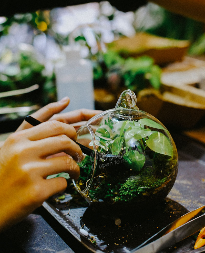 Terrarium Workshop - Workshop trồng cây trong bình thủy tinh - 9X GARDEN