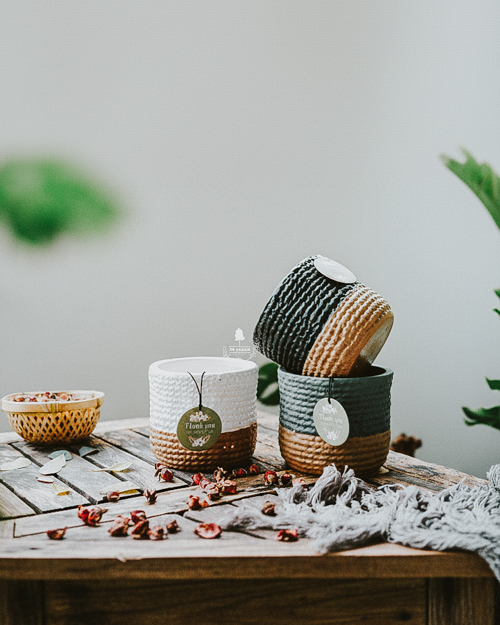 Cây cảnh để bàn trồng không đất | 9X GARDEN