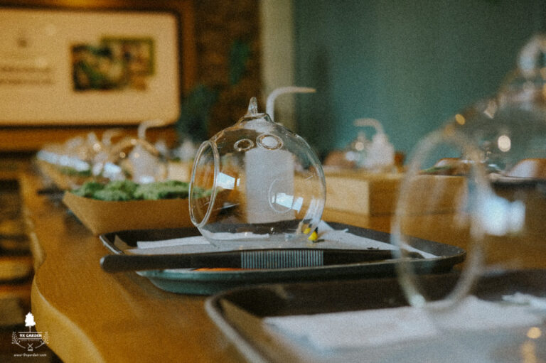 Nhật ký Terrarium Workshop 6/3/2026 | La Maison Verte Workshop x EXO Travel