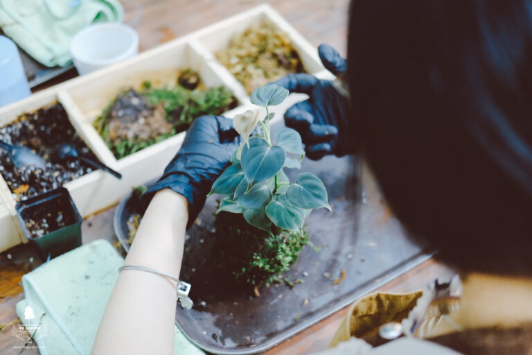 5 Workshop cuối tuần độc đáo tại Sài Gòn mà bạn nhất định không nên bỏ lỡ! | 9XGARDEN
