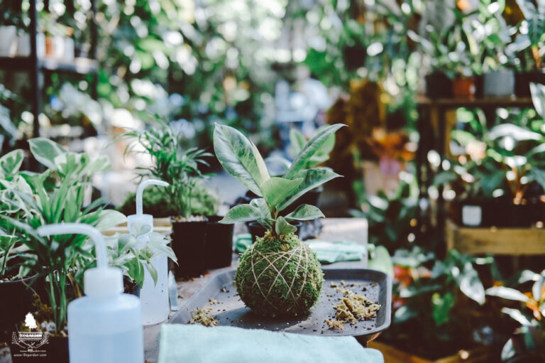 5 Workshop cuối tuần độc đáo tại Sài Gòn mà bạn nhất định không nên bỏ lỡ! | 9XGARDEN