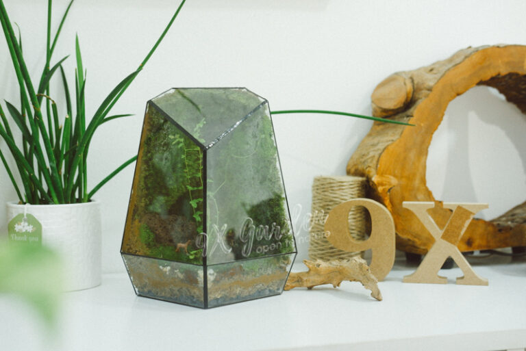 Terrarium by 9X GARDEN