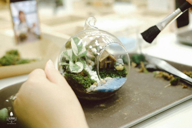 Terrarium Workshop - 9X GARDEN x First Solar