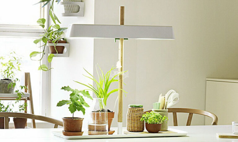 Dùng đèn nhân tạo cho cây trồng trong nhà - 9X Garden